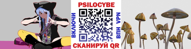 Галлюциногенные грибы MAGIC MUSHROOMS  Купить где  Кашин 